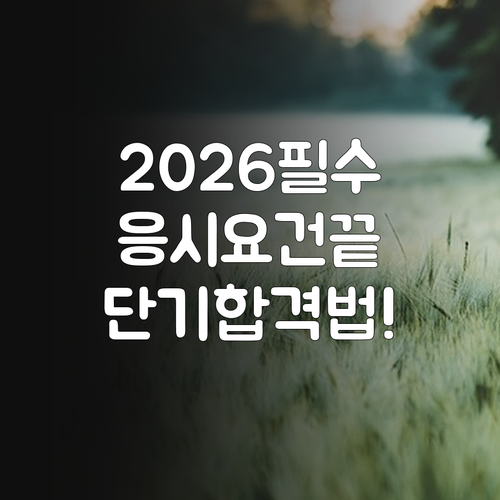 2026년 손해평가사 자격시험 응시 ..