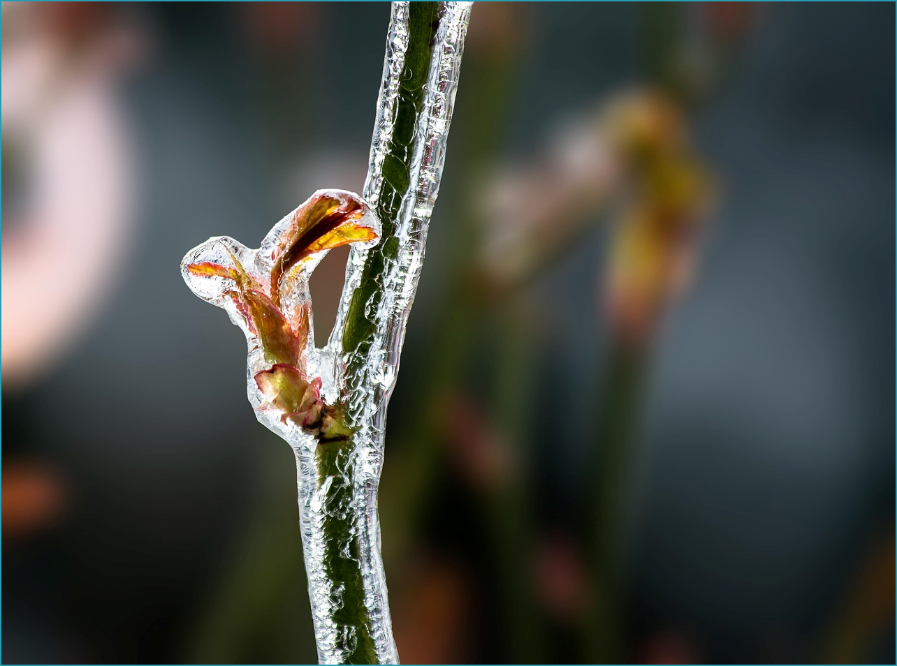 생방송 투데이 보리밥상