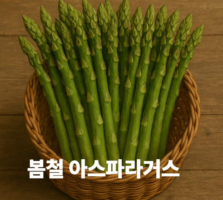 엽산함량 뼈건강 노폐물 배출 장건강 봄철 아스파라거스 효능 영양성분