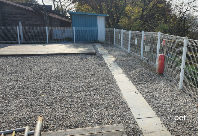 경기-파주-강나루야영-예약-방법-애견-동반-가격-주소-시간-후기