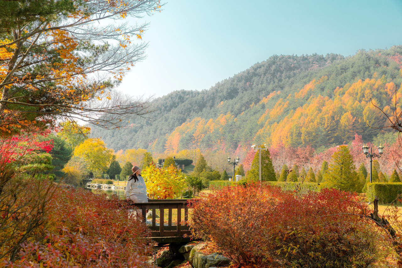 켄싱턴 프렌치가든