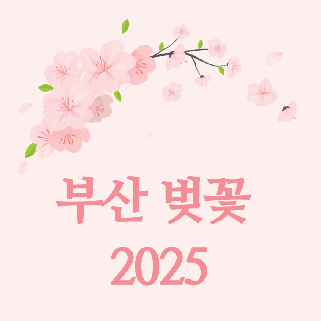 부산 벚꽃 개화시기 2025|만개시기 & 벚꽃 명소, 축제 일정 총정리