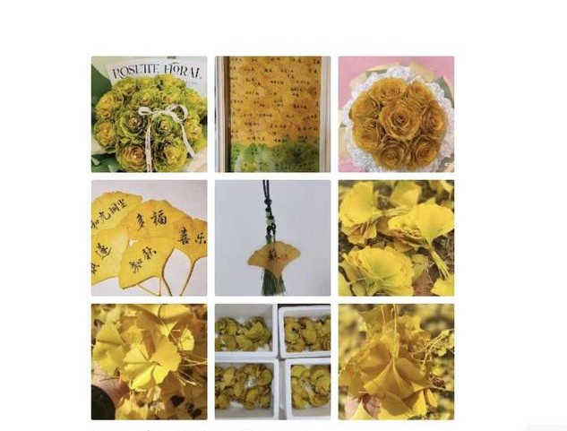 낙엽이 &lsquo;황금잎&rsquo;으로 변했다&rdquo; 올가을 가장 뜨거운 부업, 모두가 은행잎을 사는 이유