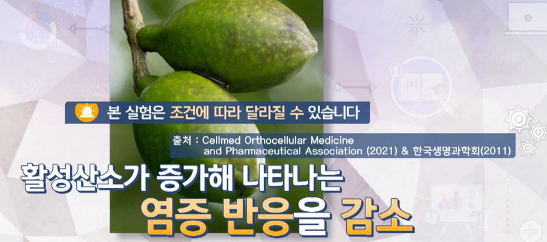 보스웰리아 플렉서