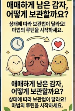 감자 보관법