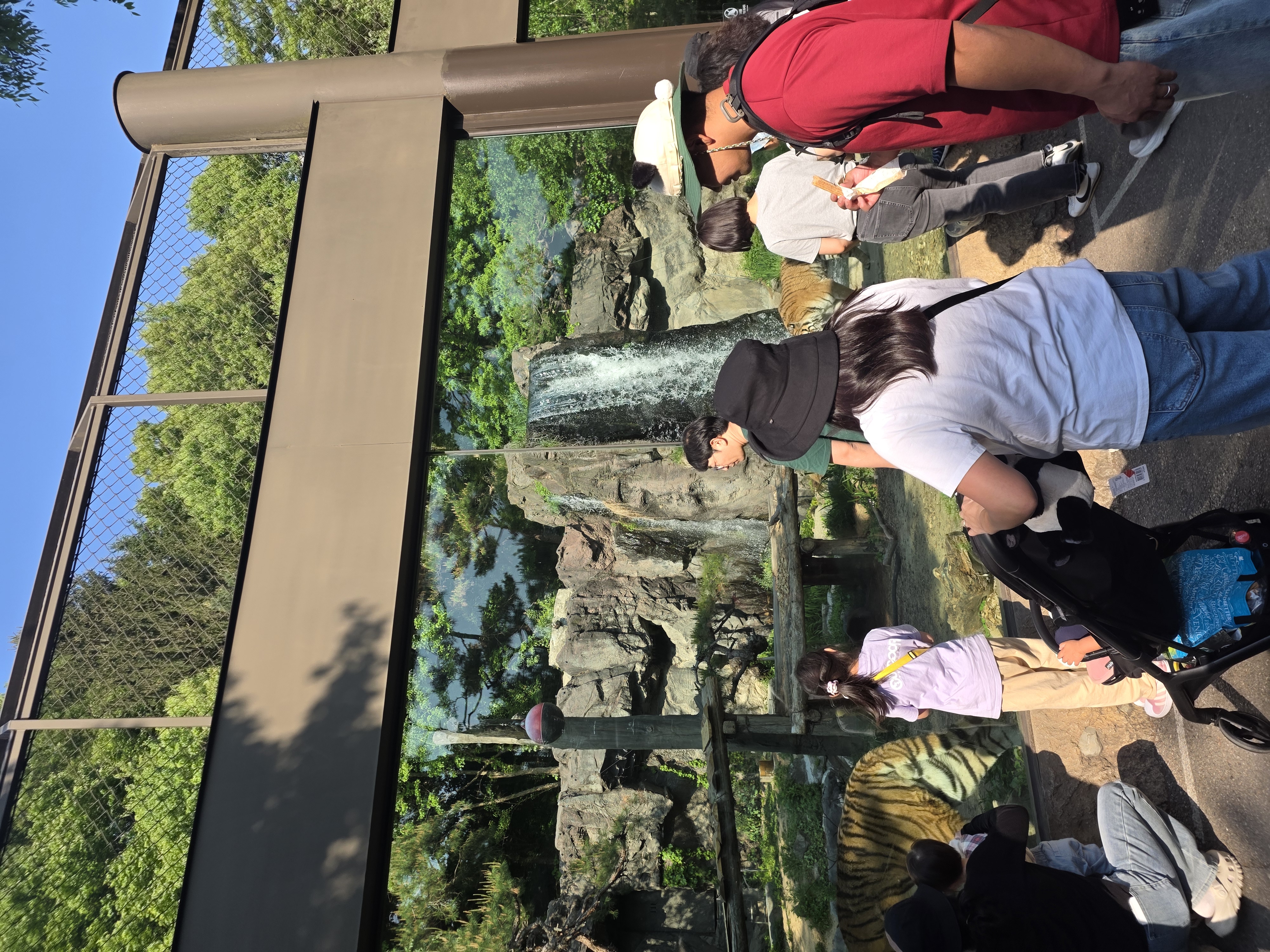 에버랜드 in. 용인 (2026년)