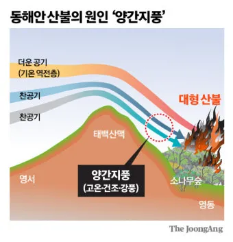 봄철 강풍 꽃가루 농도 알레르기 마스크 관리_11