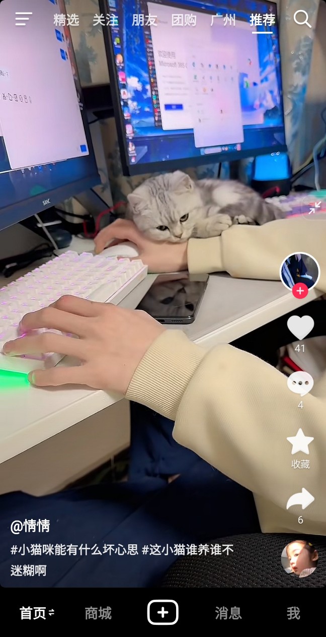 중국어로 고양이 猫