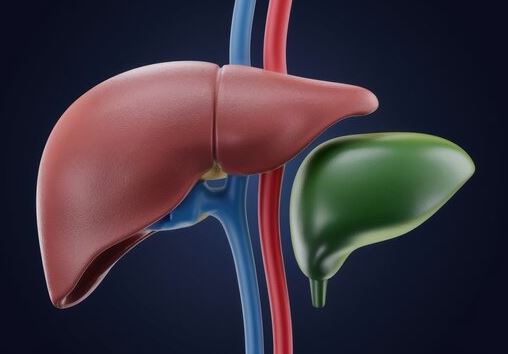 빌리루빈-정상수치