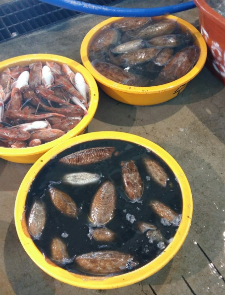 생방송 오늘엔 종로사계절 떡국 국수&amp;#44; 포항 활어 위판장&amp;#44; 2026 한우 할인 페스타 행사 