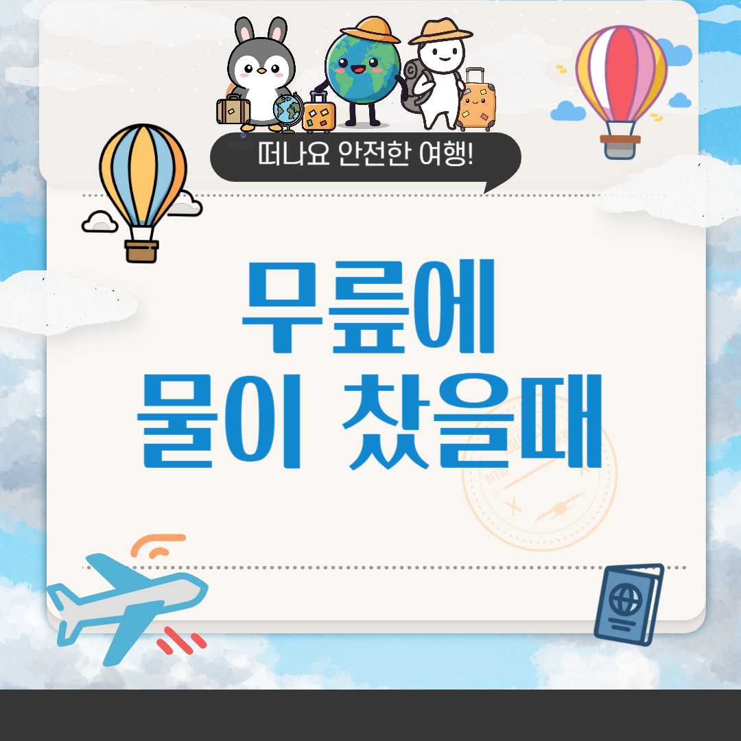 무릎에 물이 차는 증상, 원인부터 치료&middot;관리까지
