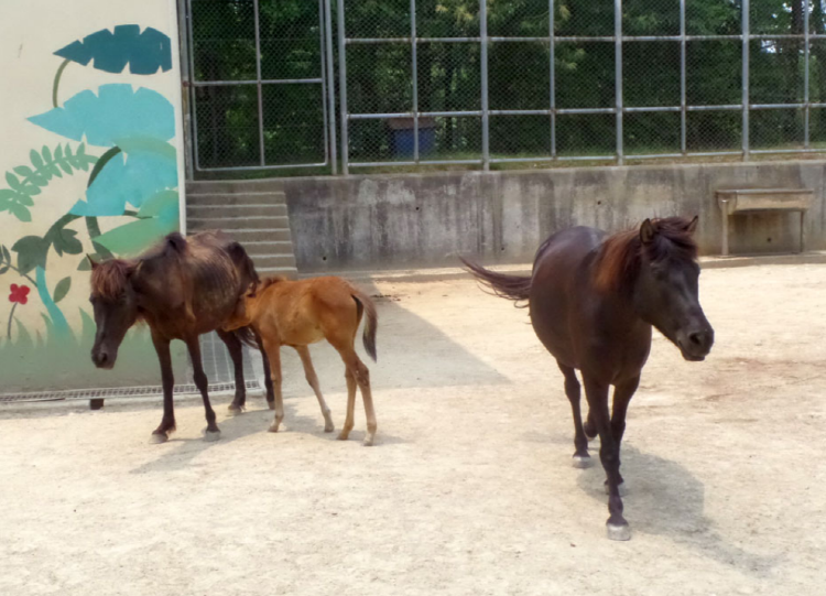 진양호 동물원