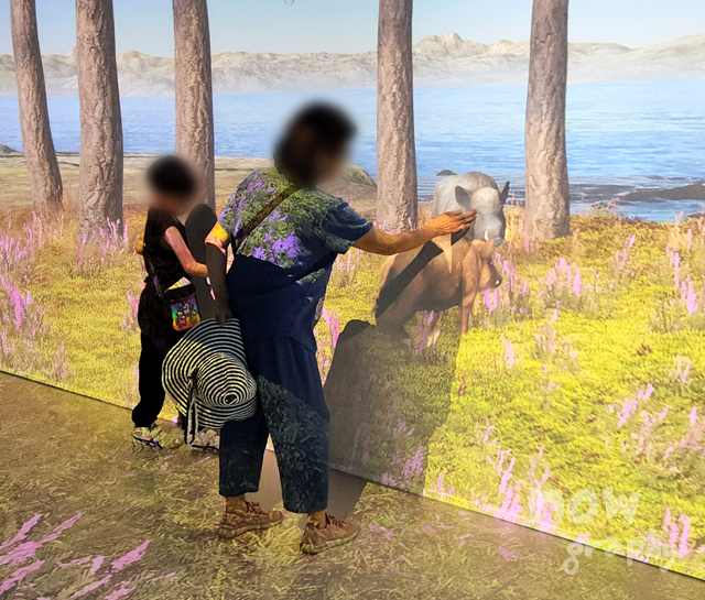 강화평화전망대