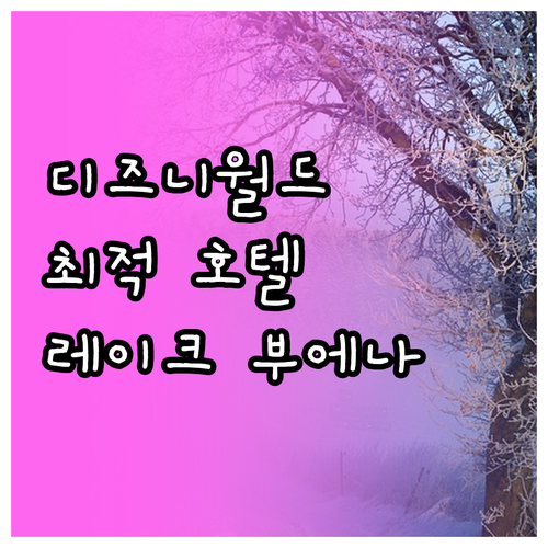 레이크 부에나 비스타 추천 호텔.. ..