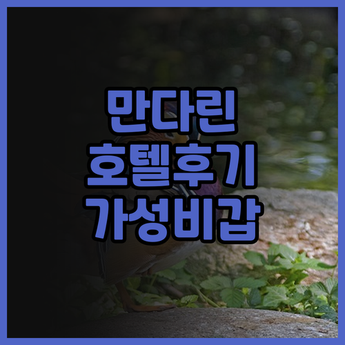 더 만다린 호텔 앤 트래블.. 호안끼
