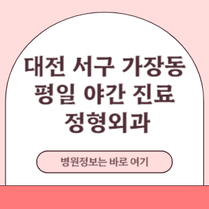 대전 서구 가장동 평일 야간진료 정형외과 진료 병원