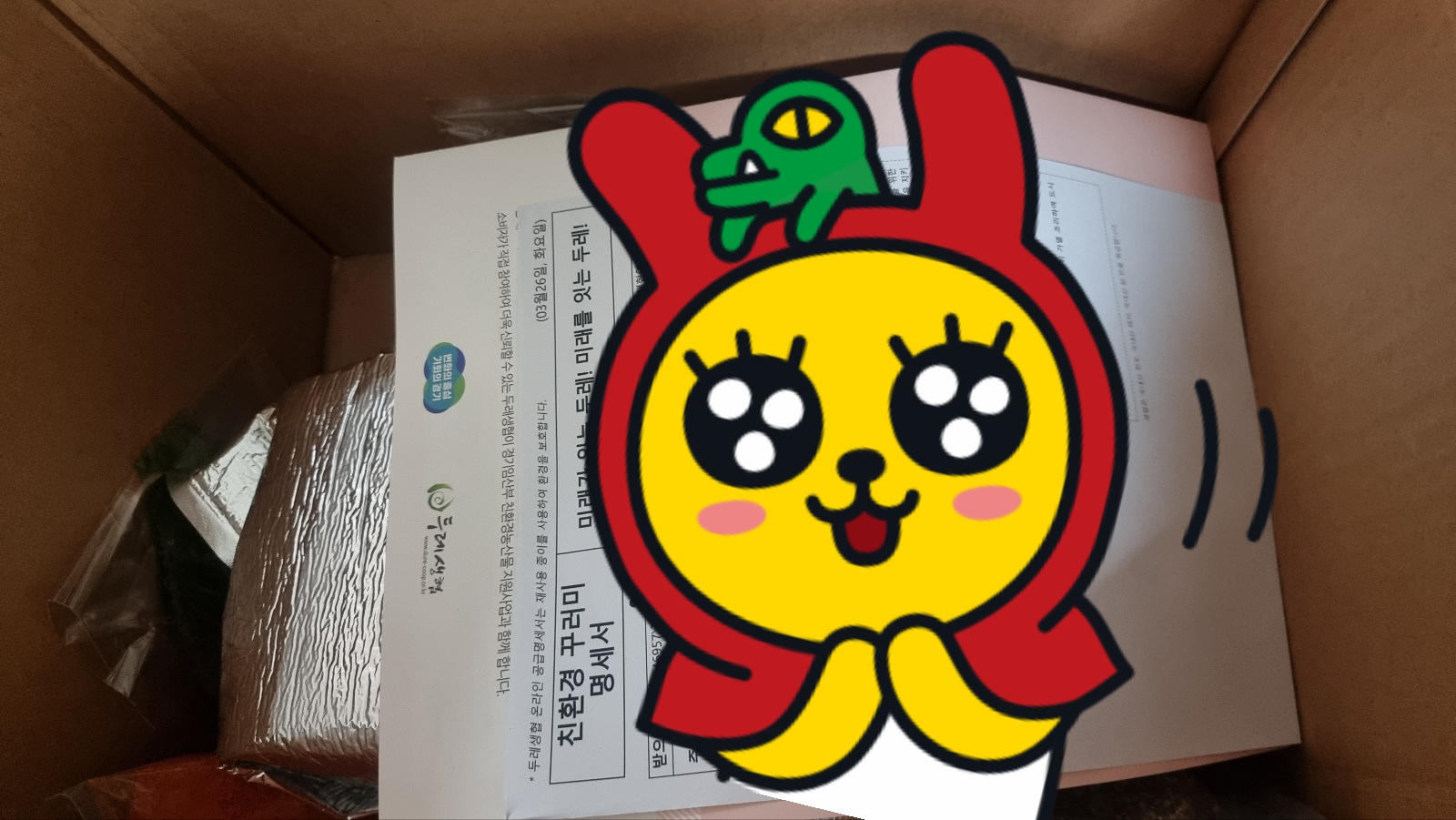 임산부 친환경 농산물 꾸러미