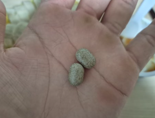 코엔삼백초 효과