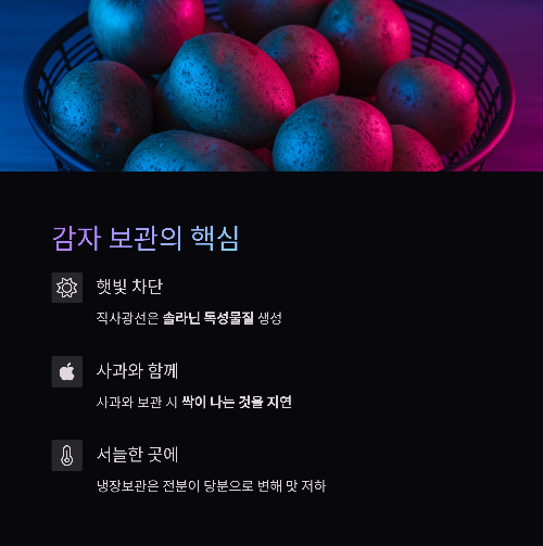 영양 가득한 감자의 재발견, 건강하게 즐기는 모든 방법