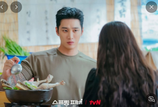 스프링-피버-기본-정보-등장인물-뜻-ott