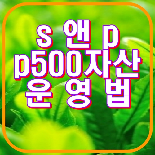 s앤p 500 자산운영법