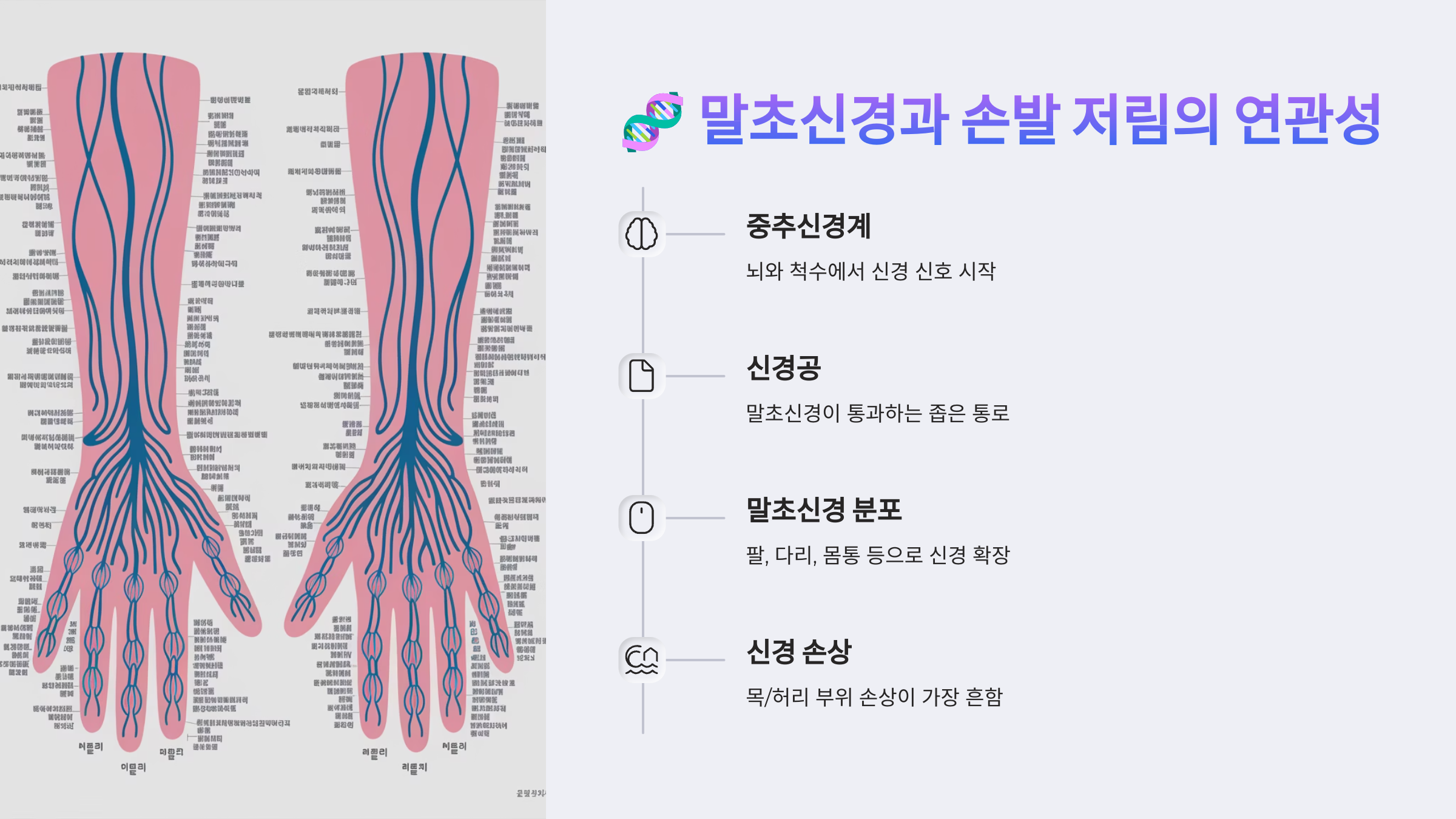 말초신경과 손발 저림의 연관성
