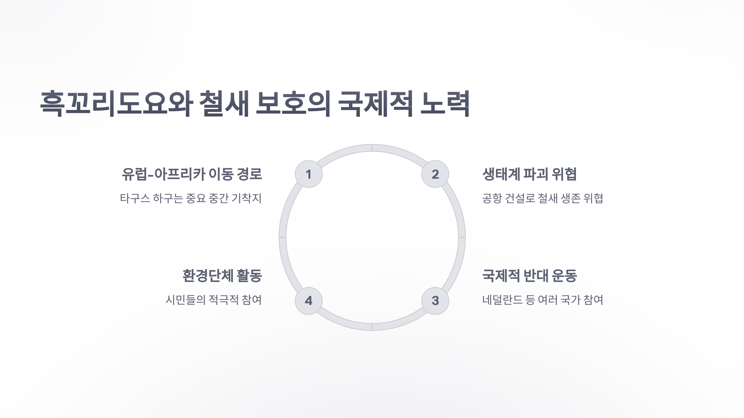 참조-흑꼬리도요,-포르투칼-공항-건설-취소-3