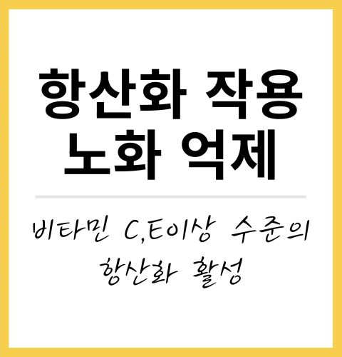 프로폴리스 효능