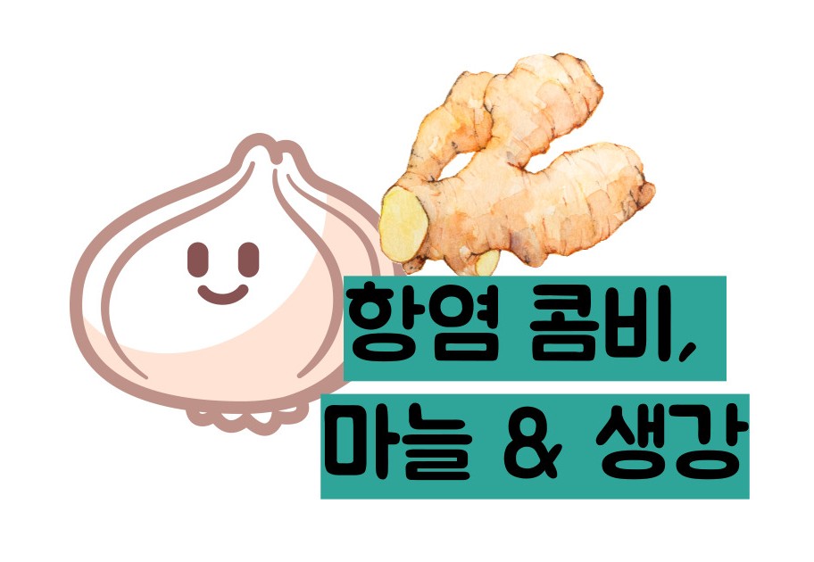 염증에 좋은 음식