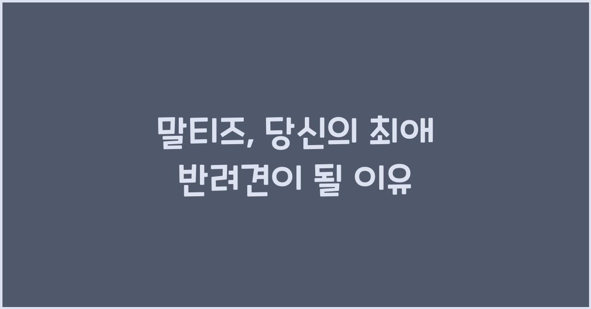 말티즈