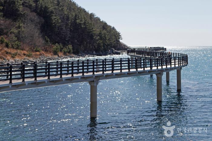 바다위에 기다란 길이 놓여져 있다.