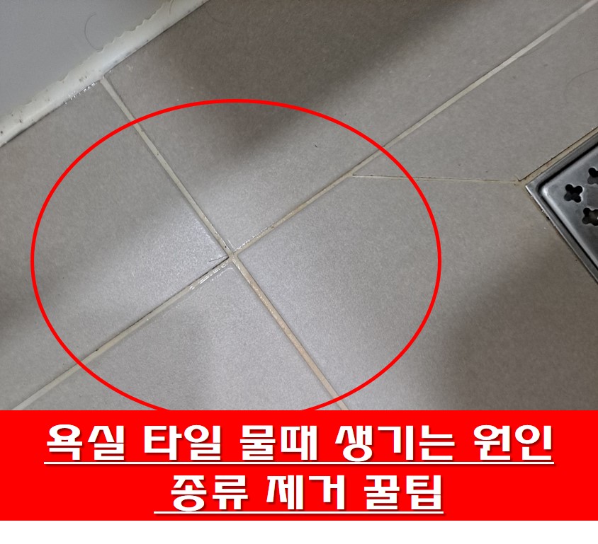 욕실 타일 물때 사진
