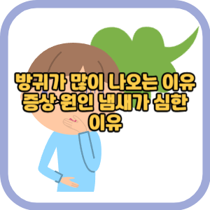 방귀가 많이 나오는 이유 증상 원인 냄새가 심한 이유