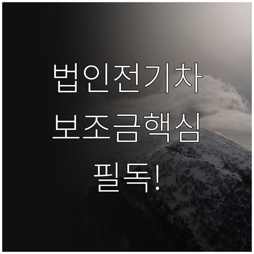 법인 전기 화물차 보조금 차등 지원 ..