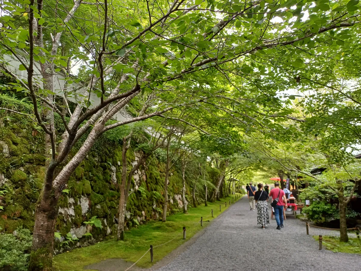 산젠인_입구_벽면쪽
