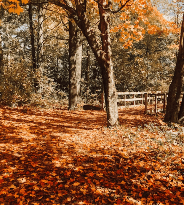 가을철 눈 건강 비상! 백내장 유발 자외선 예방 꿀팁
