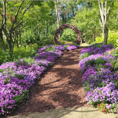 화담숲 입장권 가격표와 환불 규정 안내 포스터.