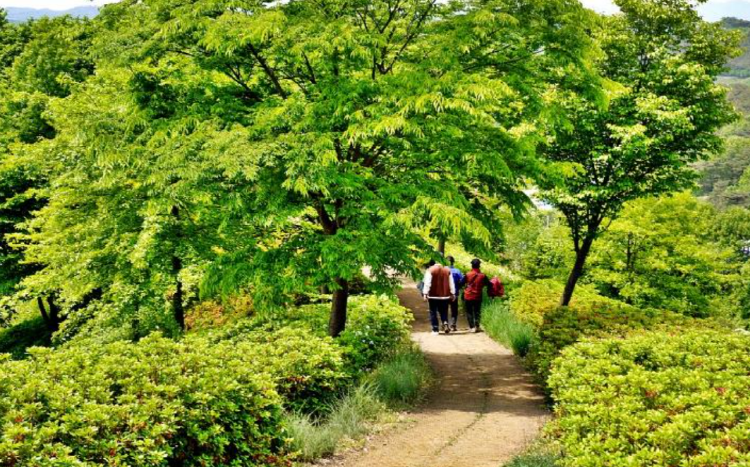 당진 삼선산수목원