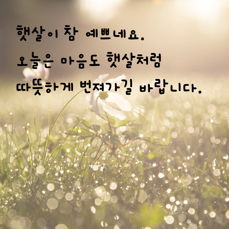 기분 좋은 아침 인사말 문구 이미지 모음