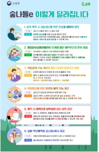 숲나들e