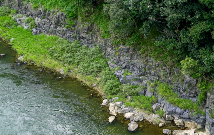 포천 Y자 출렁다리