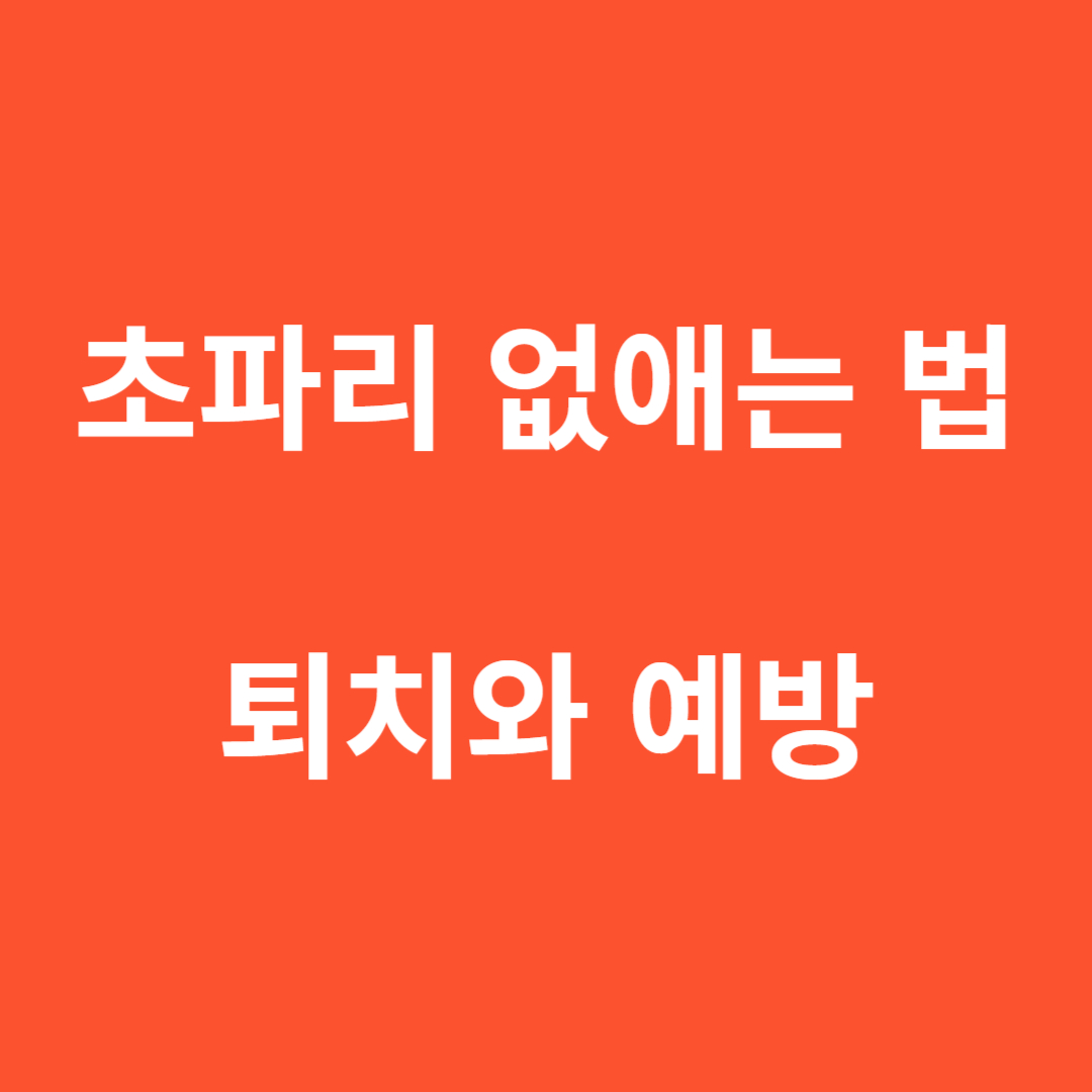 초파리 없애는 법