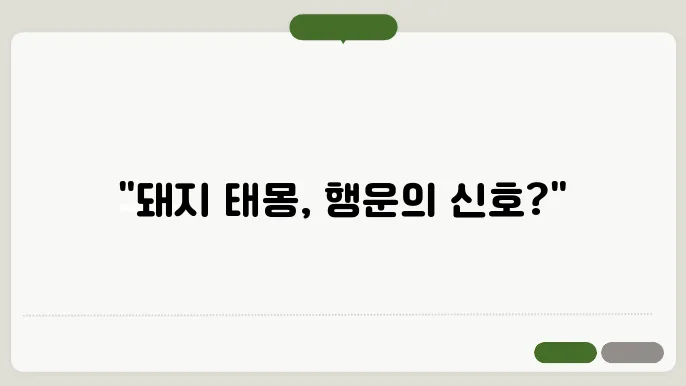 돼지 태몽