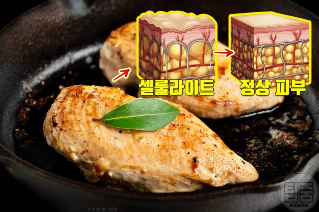 셀룰라이트 제거 음식 닭고기 셀룰라이트 없애는 음식 연어 오메가3
