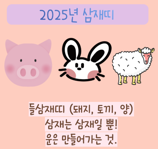 2025년 삼재띠