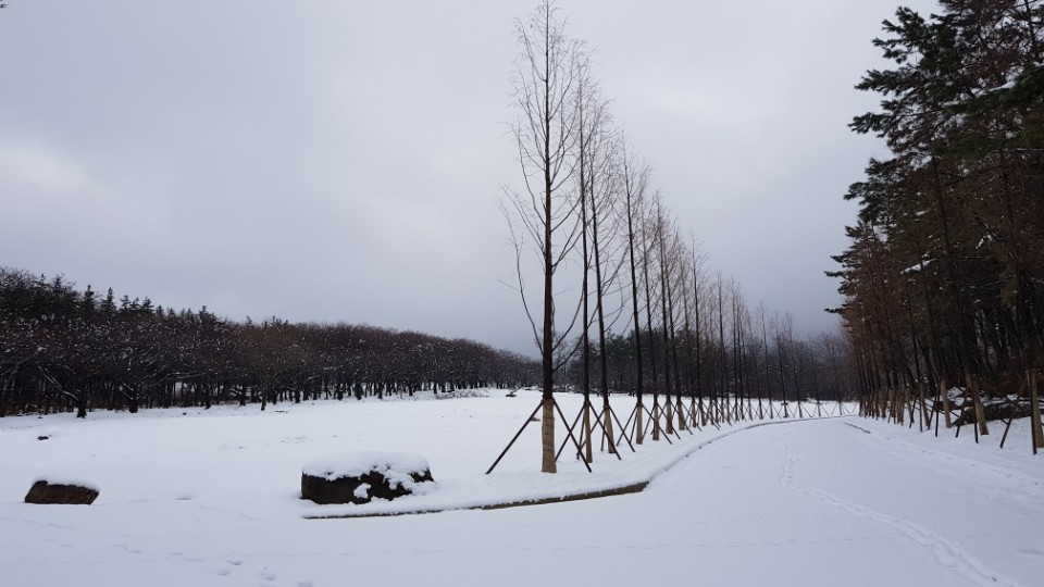 칠곡 가산수피아