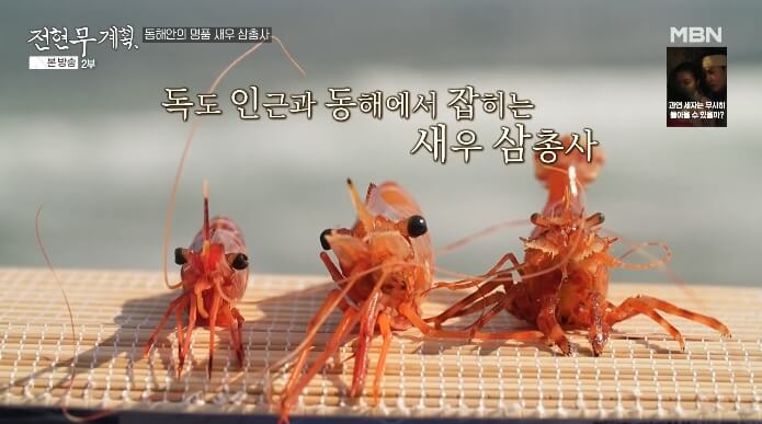 전현무계획-동해안-명품-새우