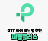 OTT 공유 플랫폼 활용