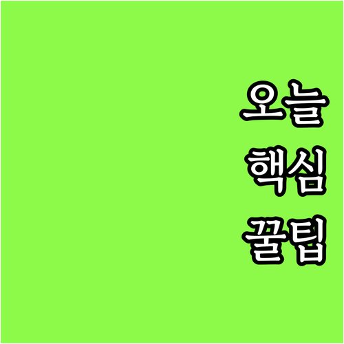 ESTA 40달러 시대! 미국 가족 ..
