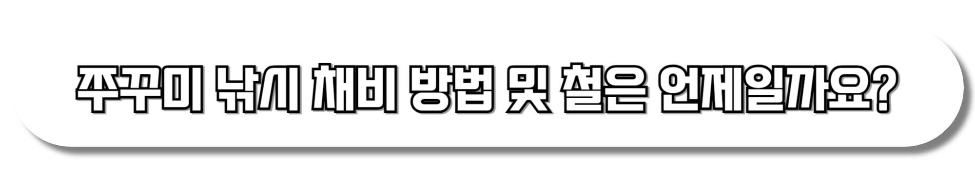 쭈꾸미-낚시-채비-방법-및-철은-언제일까요